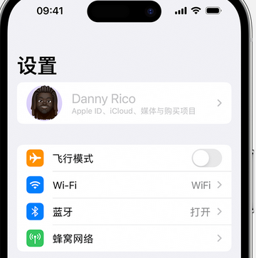 龙河镇appleID维修服务iPhone设置中Apple ID显示为灰色无法使用 