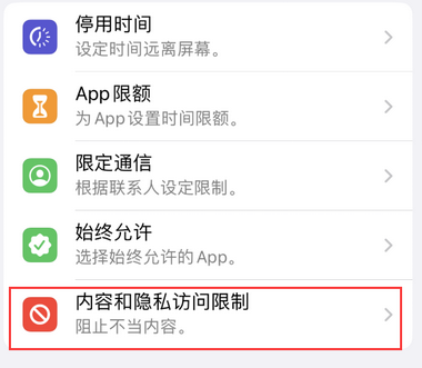 龙河镇appleID维修服务iPhone设置中Apple ID显示为灰色无法使用