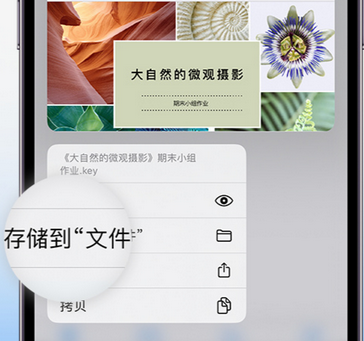 龙河镇apple维修中心分享iPhone文件应用中存储和找到下载文件