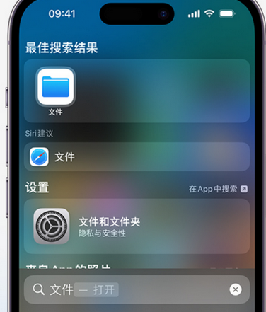 龙河镇apple维修中心分享iPhone文件应用中存储和找到下载文件