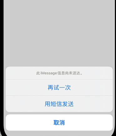 龙河镇apple维修iPhone上无法正常发送iMessage信息