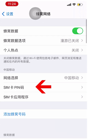 龙河镇苹果14维修网分享如何给iPhone14的SIM卡设置密码 