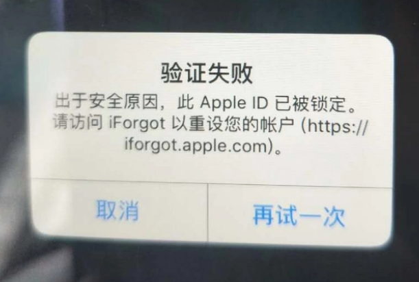 龙河镇iPhone维修分享iPhone上正常登录或使用AppleID怎么办 