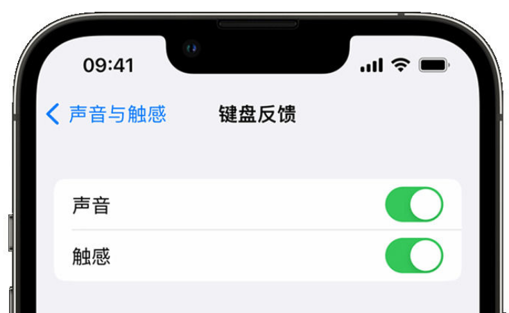 龙河镇苹果手机维修分享iPhone 14触感键盘使用方法 