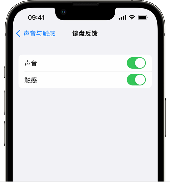 龙河镇苹果14维修店分享如何在 iPhone 14 机型中使用触感键盘 