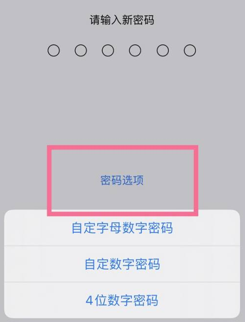 龙河镇苹果14维修分享iPhone 14plus设置密码的方法 