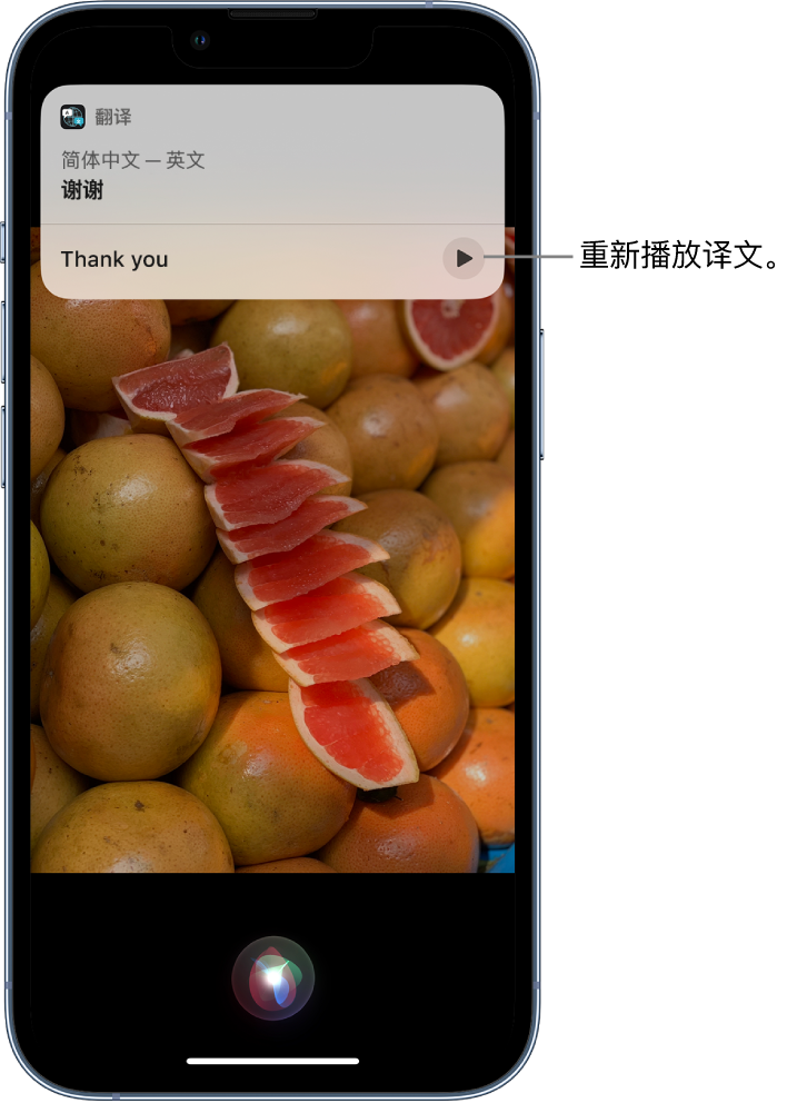 龙河镇苹果14维修分享 iPhone 14 机型中使用 Siri：了解 Siri 能帮你做什么 