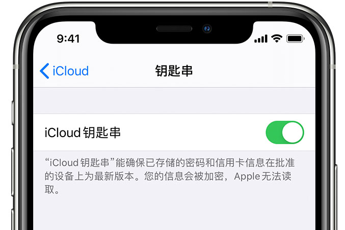 龙河镇苹果手机维修分享在 iPhone 上开启 iCloud 钥匙串之后会储存哪些信息 