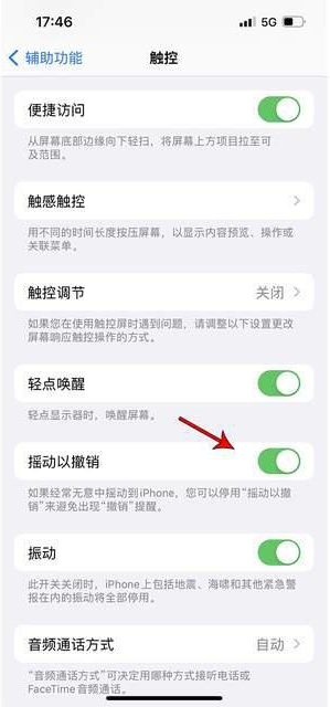 龙河镇苹果手机维修分享iPhone手机如何设置摇一摇删除文字 